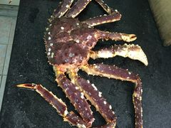 -小象钓虾·营地烧烤(洛溪店)