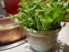 -牛村来人潮汕牛肉火锅(西单店)