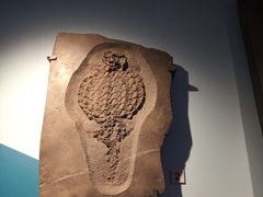 -正佳自然科学博物馆