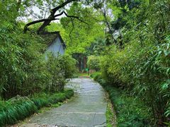 -杭州植物园