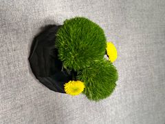 -南堂馆·新川菜(春熙路店)