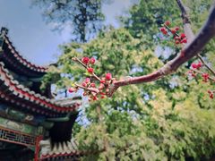 -颐和园