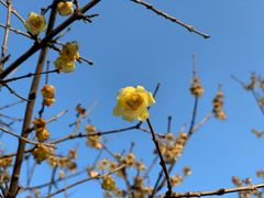 -白塘生态植物园