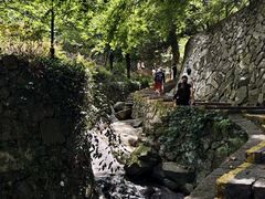 -莫干山风景区