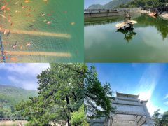 -沂蒙山旅游区云蒙景区(蒙山国家森林公园)