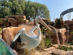 -常州淹城野生动物世界