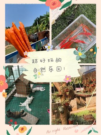 快来大自然里享受亲子时光吧！