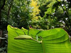 -天目湖御水温泉·度假酒店