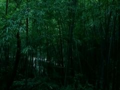 -敬亭山风景名胜区