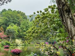 -深圳仙湖植物园