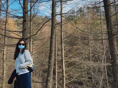 -秦岭风景区