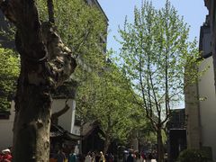 -凤凰寺