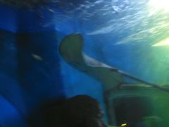 -石林冰雪海洋世界