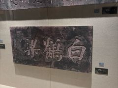 -白鹤梁水下博物馆