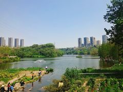 -重庆彩云湖湿地公园