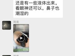 -康成宠物医院24H·CT·核磁共振