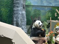 -灵玲国际马戏城