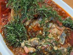 -老字号怡玺·藿香雅鱼(20年雅安店)