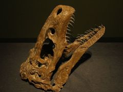 -遇见博物馆(遇见海洋沉浸式奇幻光影展)
