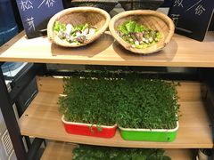 -番食园鲜食火锅(高新店)