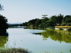 -福田红树林生态公园