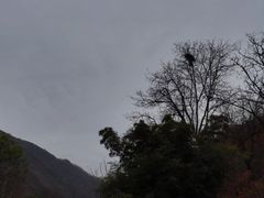 -秦岭风景区