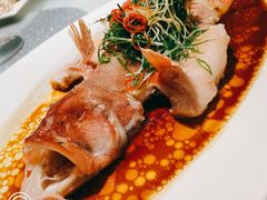 -维园悦谱·海派家常菜(乌鲁木齐南路店)