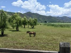 -泸沽湖国家级风景名胜区走婚桥