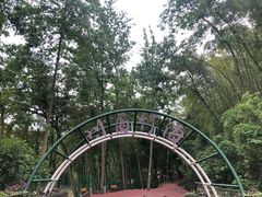 -川西竹海景区