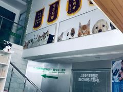 -爱侣宠医·鹦鹉专科·小型哺乳类·异宠专科(灵石路店)