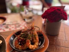 -TOMATITO(无限极荟店)