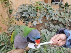 -南宫五洲植物乐园