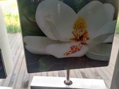 -白鹭湾湿地公园