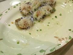 蒜蓉粉丝蒸扇贝-龙乡楼