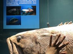 -西安曲江海洋极地公园