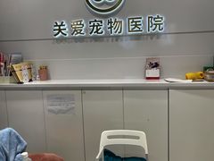 -关爱宠物医院·猫科中心·消化科(滨湖万达分院)