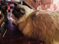 -南京天堂隔壁酒吧