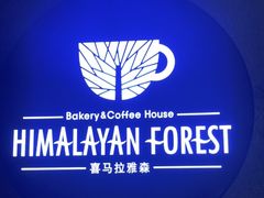 -喜马拉雅森HIMALAYAN FOREST