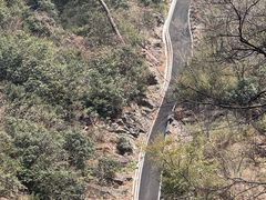 -东天目山风景区