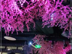 -韵秋荷(宝山龙湖天街店)