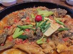 -老板恋上鱼(恒隆广场店)