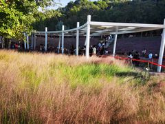 -牛岗山公园