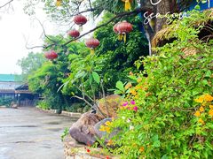 -园林美食城·本土农家菜(杨和镇店)