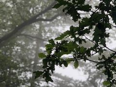 -九鼎铁刹山风景区