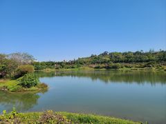 -广东花都湖国家湿地公园