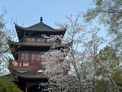 -堤角公园