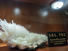 -青岛德国总督楼旧址博物馆