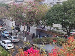 -广州中医药大学第一附属医院(总院)