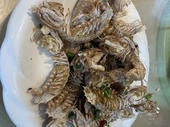 虾姑-天天渔港海鲜酒家(石浦玉泉路店)