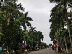 -万绿园